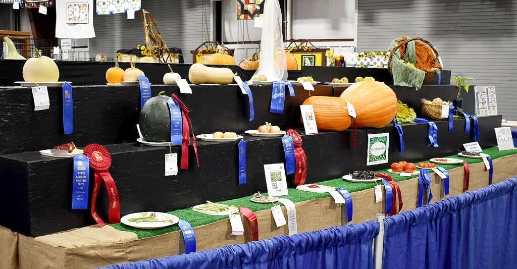 Youth Horticulture Exhibit at the 2024 NC Mountain State Fair. Photo by Adam Coulter.