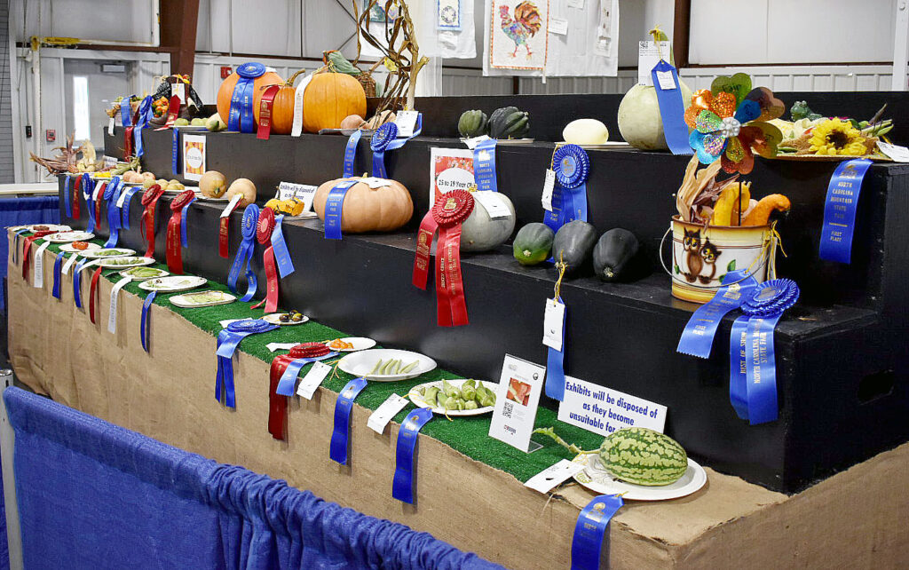 Horticulture Display at NC Mountain State Fair