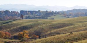 Photo of a Farm in Western North Carolina