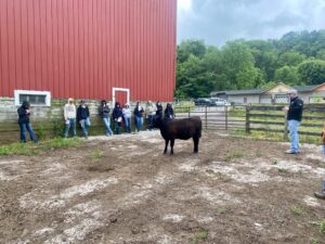 Cover photo for NC State Livestock Judging Clinic