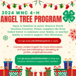 Cover photo for 2024 WNC 4-H Angel Tree Program