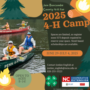 Cover photo for Join Us For 2025 4-H Camp