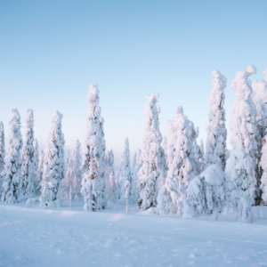 Cover photo for Food Safety Tips for Winter Storms