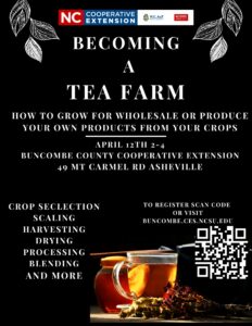 Digital Flyer for Tea Farming Workshop