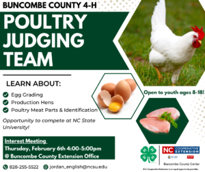 Cover photo for 4-H Poultry Judging Program 2025