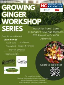 Digital Flyer for Growing Ginger Workshop Series