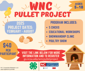 Cover photo for 2025 WNC Pullet Project