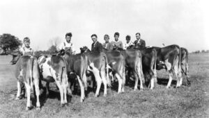 Buncombe County Guernsey Calf Club Attending the NC State Fair