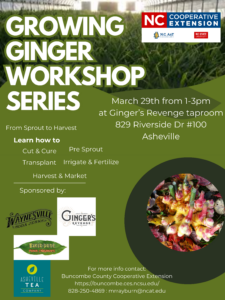 Digital flyer for the Growing Ginger Workshop - 2nd Class. Held at Ginger's Revenge Brewery in Asheville, NC. Learn what it takes to grow ginger on your land.