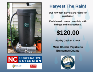 Photo of 50 Gallon Rain Barrel sitting outdoors to gather rain.