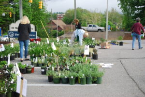 People selecting plants to purchase