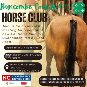 Cover photo for New 4-H Horse Club!