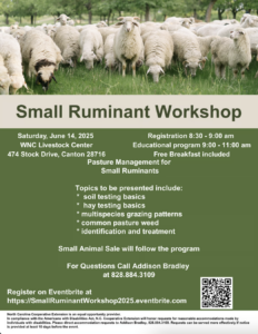 Cover photo for WNC Small Ruminant Workshop