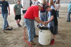 Cover photo for Livestock Judging & Skillathon Clinics