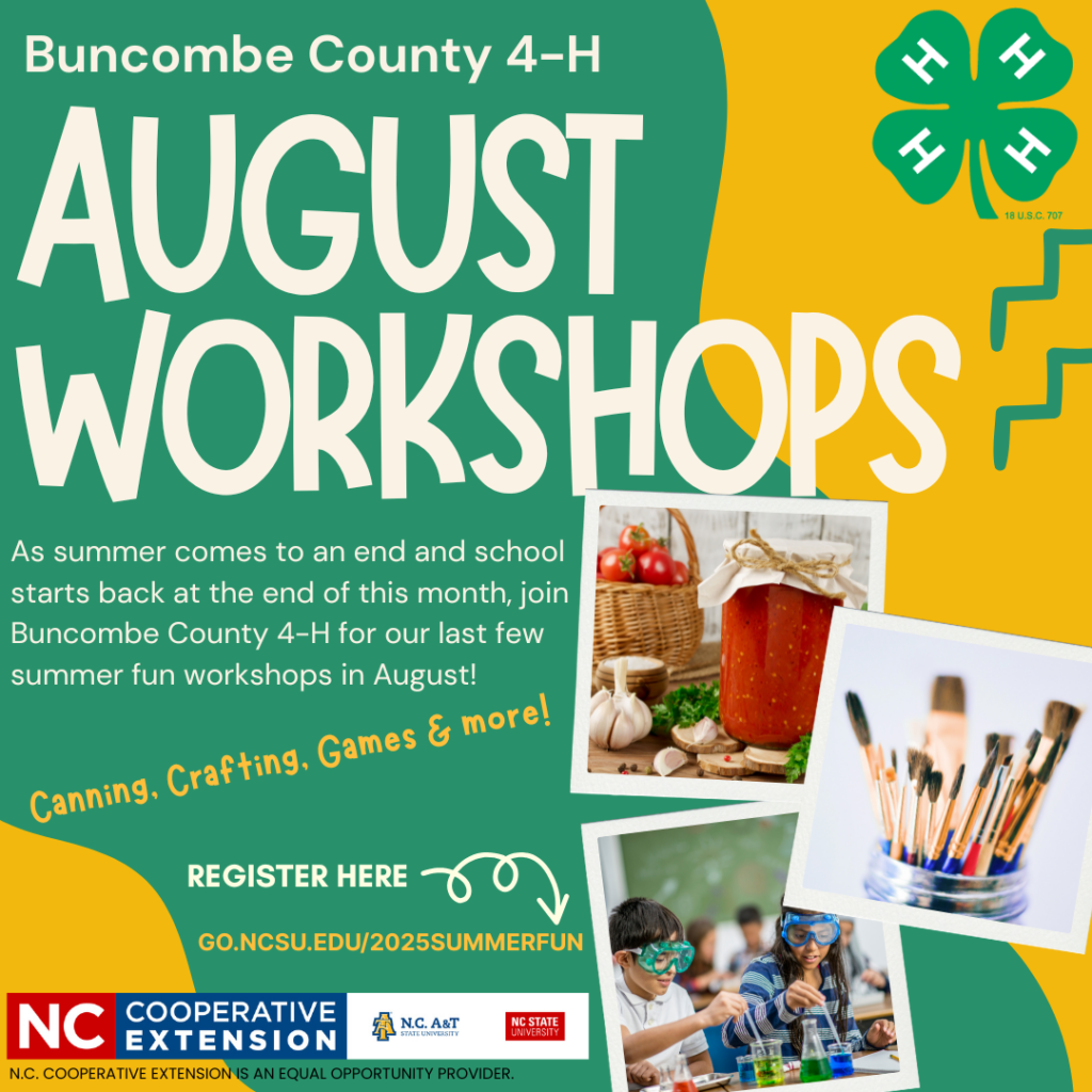 August Workshops