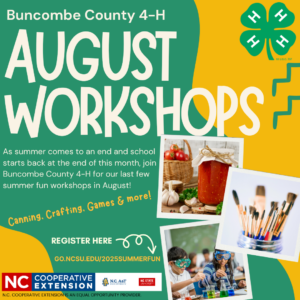 Cover photo for August 4-H Workshops for Youth