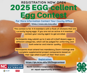 Cover photo for 2025 Egg-Cellent Egg Contest