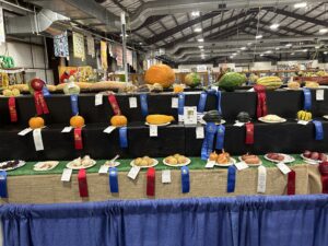 Cover photo for New and Improved Competitions for 2025 Mountain State Fair!