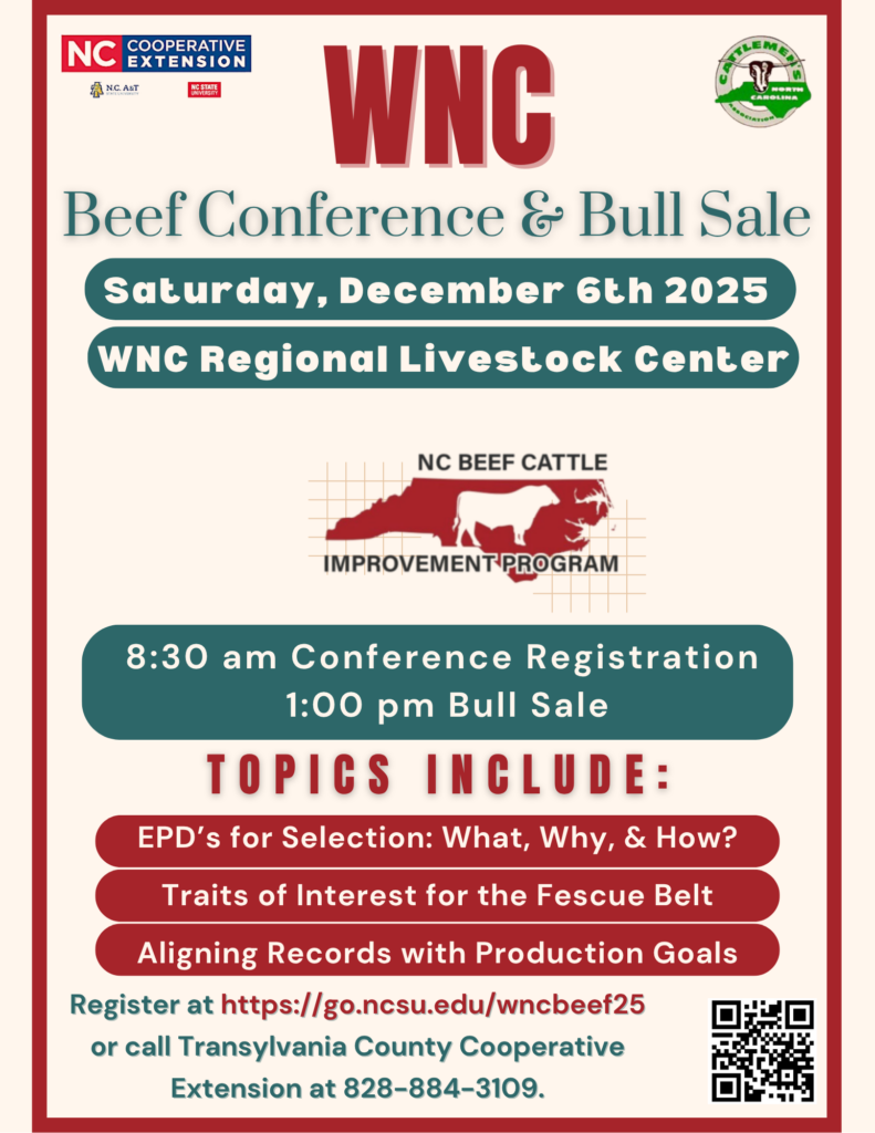 Beef Conference & Bull Sale